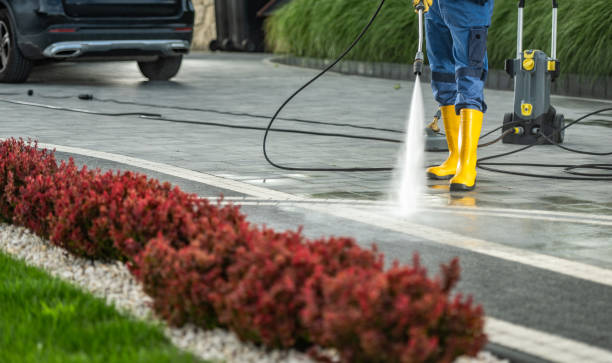 Best Sidewalk and Walkway Cleaning  in Aromas, CA